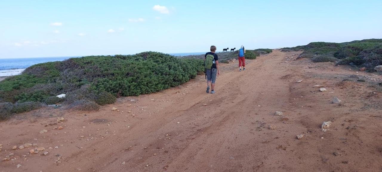 La Medusa Gardens Iskele District  Zewnętrze zdjęcie