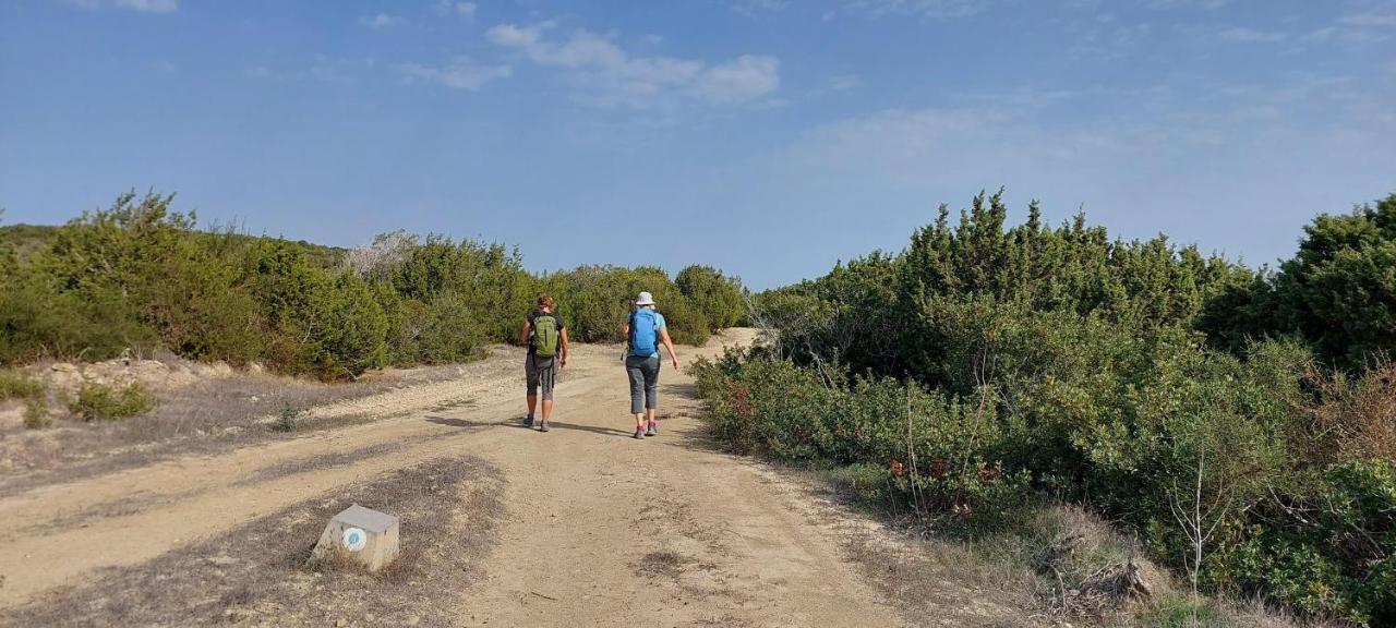 La Medusa Gardens Iskele District  Zewnętrze zdjęcie