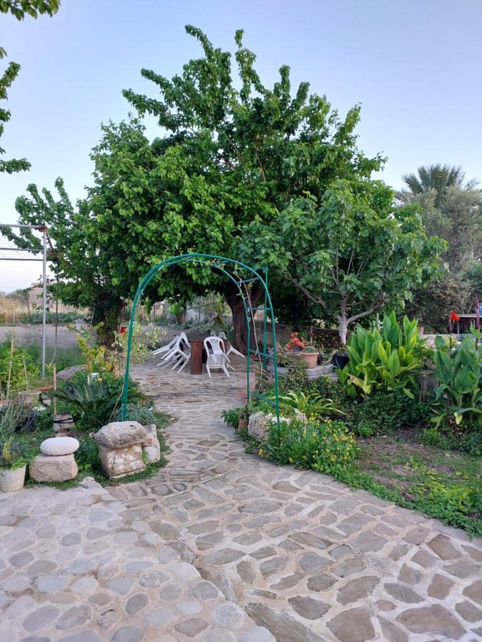 La Medusa Gardens Iskele District  Zewnętrze zdjęcie